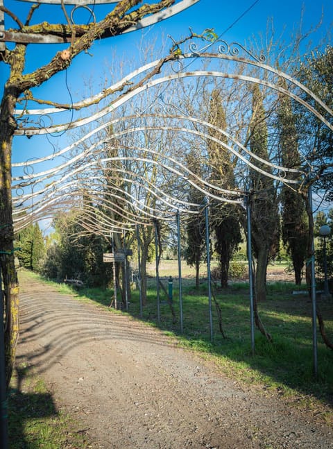 Natural landscape, Garden