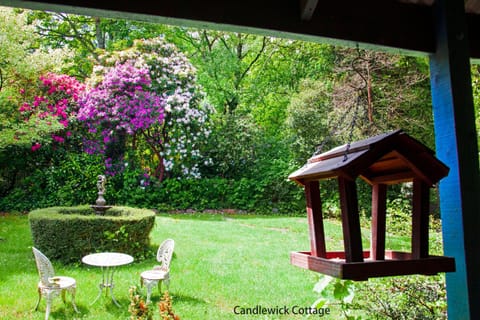 Observatory Cottages Bed and Breakfast in Mount Dandenong