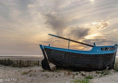 Natural landscape, Activities, Beach, Sunrise, Sunset