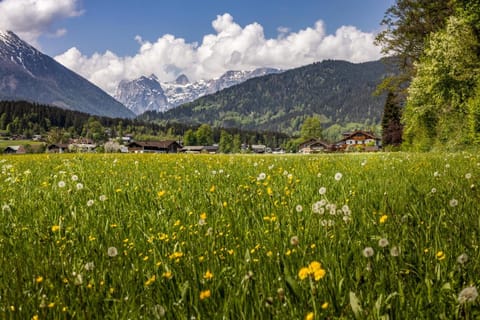 Ferienwohnungen Reich Apartment in Schönau am Königssee