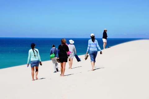 People, Activities, Beach