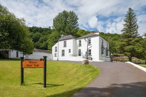 Mount Eagle - Sleeps 24 Haus in County Limerick