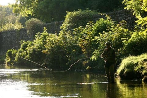 Property building, Fishing