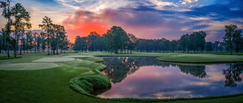 Sheraton Flowood The Refuge Hotel & Conference Center Hôtel in Flowood