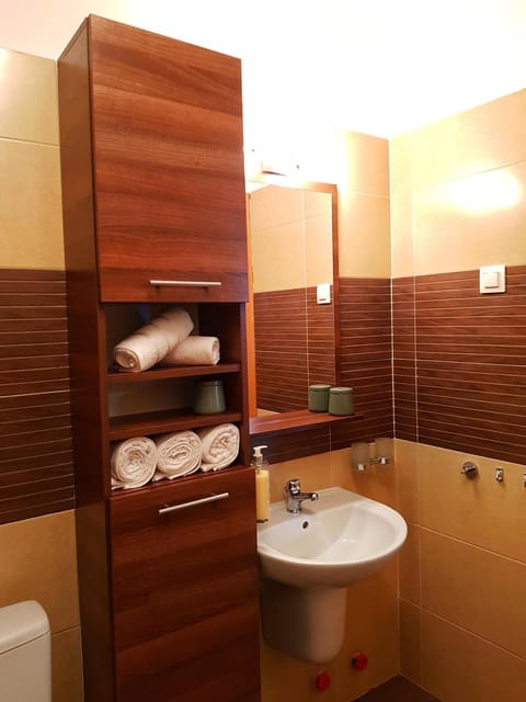 Cosy one bedroom apartment, close to Iulius Mall Appartement in Cluj-Napoca