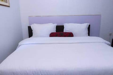 Room in Lodge - Bristlecone Suites and Apartments Bed and Breakfast in Abuja