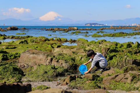 StellaStoria HAYAMA Seaside house with open-air bath House in Kanagawa Prefecture