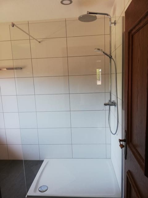 Shower, Bathroom, Decorative detail