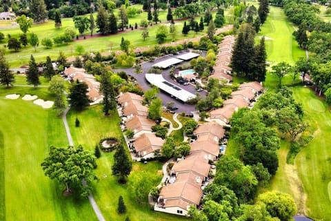 Neighbourhood, Natural landscape, Bird's eye view