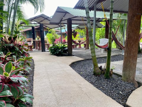 Patio, Garden view