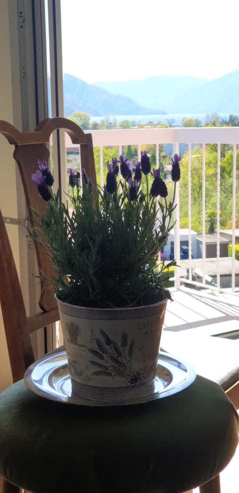 Ristorante Gordolese con alloggio Hotel in Locarno