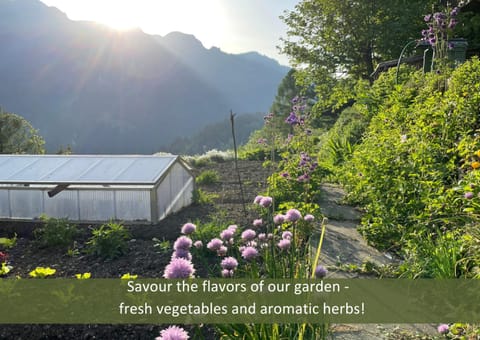 Garden, Garden view, Mountain view