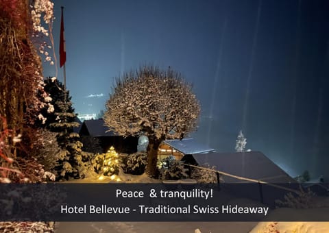 Hotel Bellevue - Traditional Swiss Hideaway Hotel in Lauterbrunnen