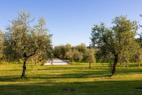 Podere di Piero House in Capannori