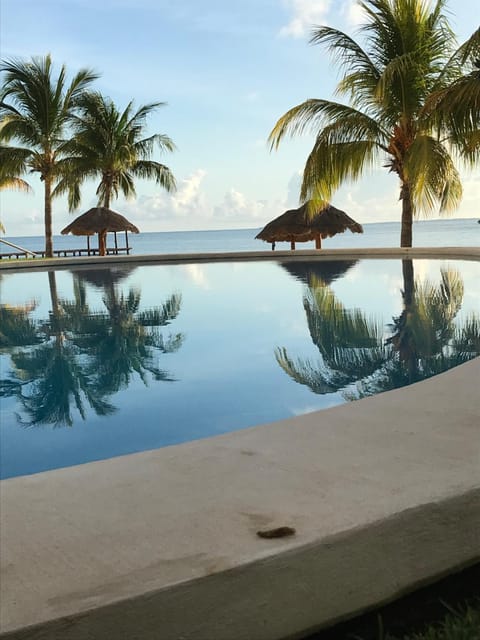 Day, Pool view, Swimming pool