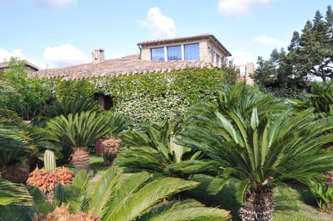 Property building, Garden, Garden view