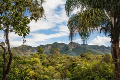 Day, Natural landscape