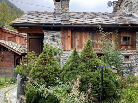 Facade/entrance, Garden view