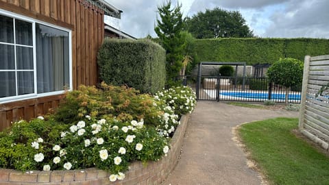 Property building, Spring, Day, Garden, Garden view, Pool view, Swimming pool