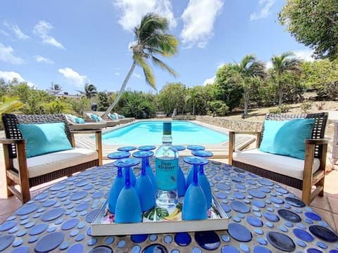 Villa la Vie en Rose, Stunning Ocean view, Private pool, Privacy Villa in Sint Maarten