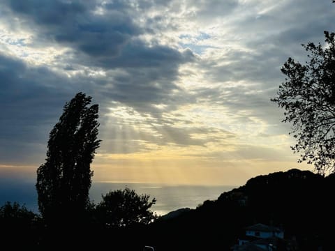 Natural landscape, Sea view, Sunrise