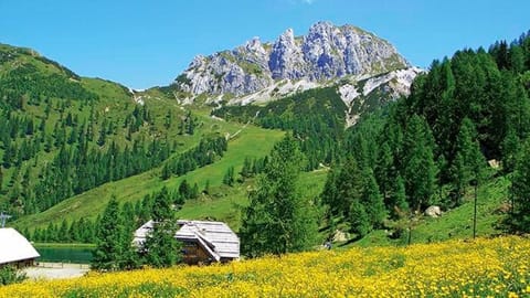 Neighbourhood, Natural landscape, Hiking, Mountain view