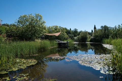 Natural landscape, Garden, Seating area, On site, Garden view, Lake view, Swimming pool, sunbed