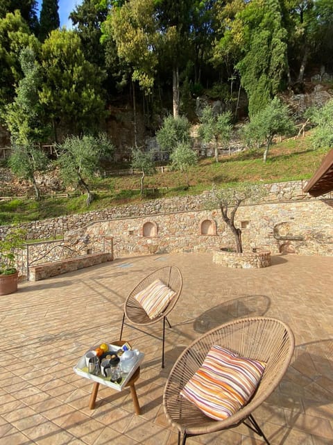 Patio, Garden, Garden view