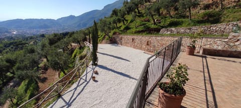 Villa "Il Grillo" Piscina privata, Panorama e privacy Villa in Camaiore