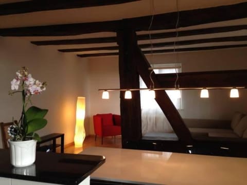 Guesthouse Les Mignardises Bed and Breakfast in Schaffhausen, Switzerland