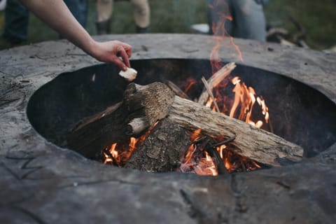 Camping Het Horstmannsbos Campground/ 
RV Resort in Drenthe (province)