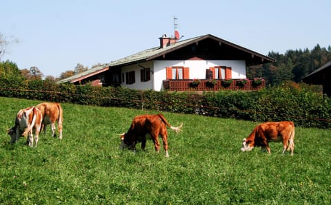 Wohnpark Falkenfels Apartment in Berchtesgaden