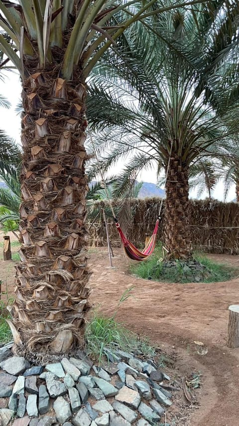 أستراحة مون لايت الريفي Farm Stay in Al Madinah Province