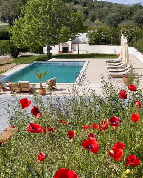 Garden view, Pool view, Swimming pool