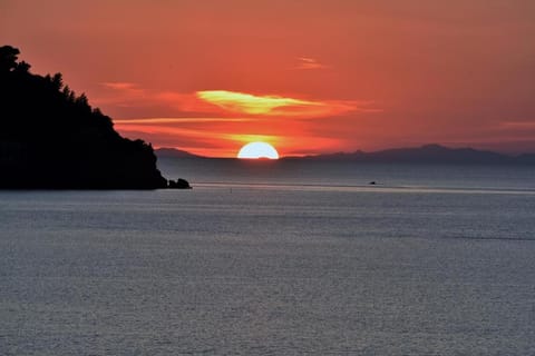 VILLA FLORA ARGENTARIO Bed and Breakfast in Porto Santo Stefano