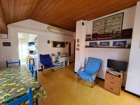 Verde Mare Aptm - Rooftop Terrace - near sea- A.C. Apartment in Monterosso al Mare
