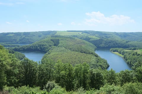 Natural landscape, Hiking, Lake view