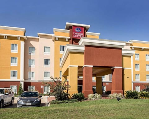 Comfort Suites near Tanger Outlet Mall Hotel in Gonzales