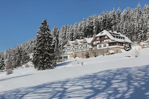 Property building, Winter