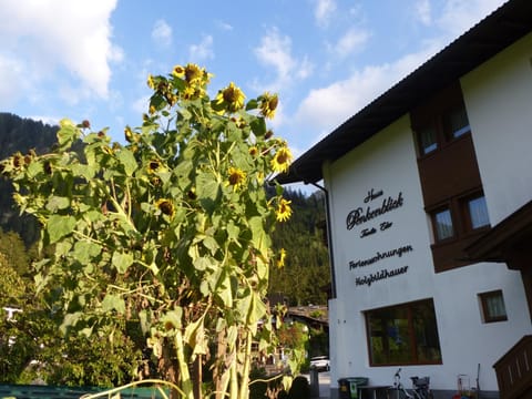 Haus Penkenblick Apartment in Mayrhofen