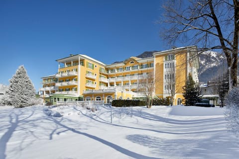 Property building, Winter