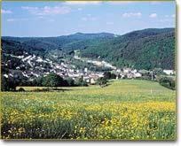 Hotel zur Krone Bed and Breakfast in Vulkaneifel