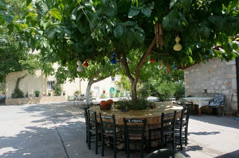 Balcony/Terrace, Area and facilities