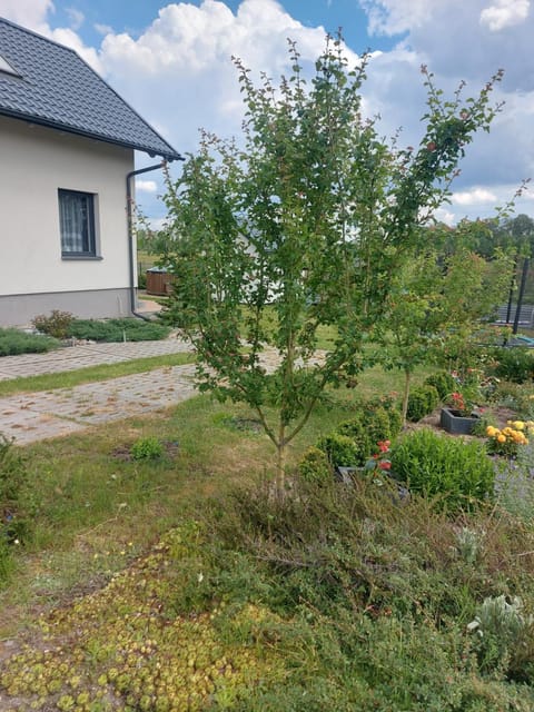 Nowa Śluza House in Pomeranian Voivodeship