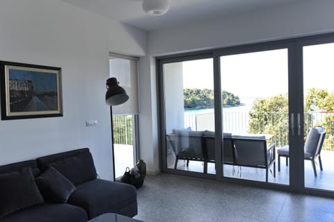 Buric House - M suite - 95m2 and 54 m2 terrace Apartment in Rovinj