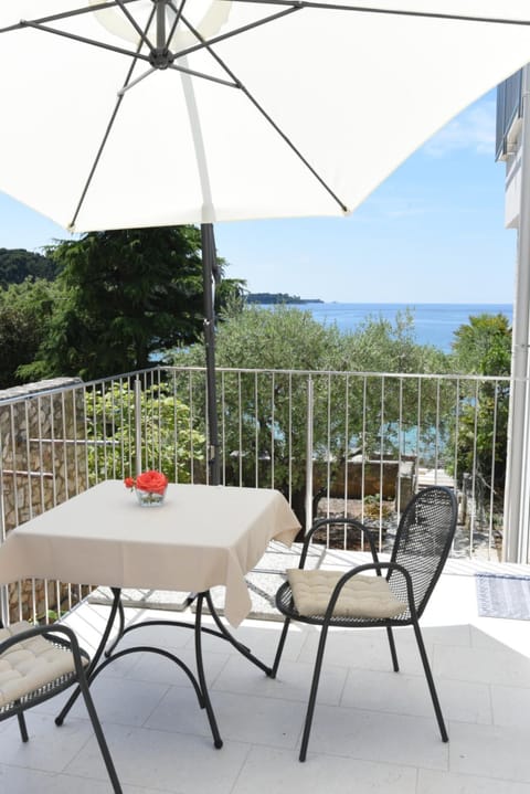 Buric House - Apartments Klasik and Studio Mini Apartment in Rovinj