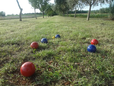 Day, Activities, Summer, Garden, Hiking, On site