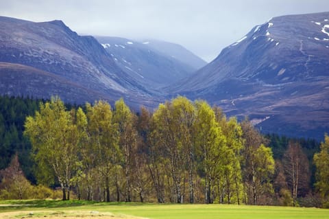 Silverglades Holiday Homes Copropriété in Aviemore