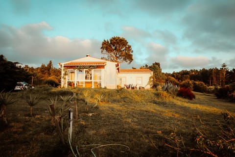 Property building, Garden, Sunset