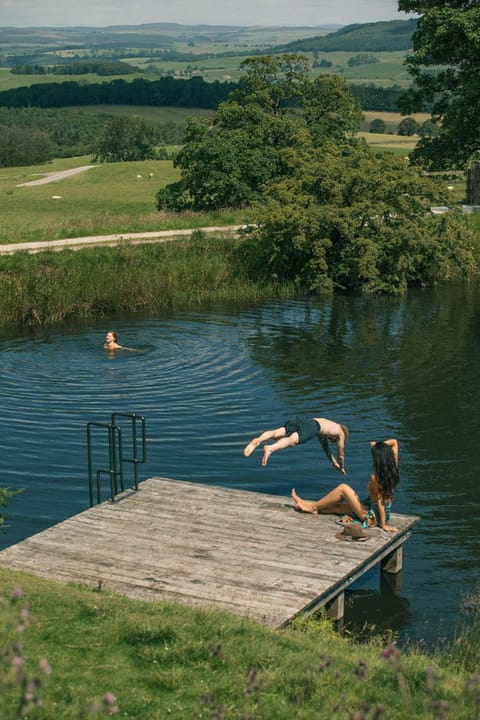 Day, Natural landscape, Lake view, group of guests